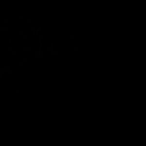 Meet your Posher, Irene